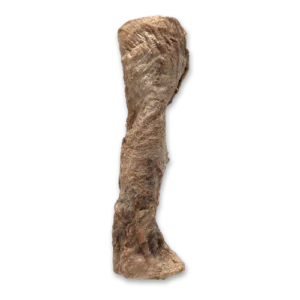The Bones & Co. Freeze-Dried Beef Esophagus