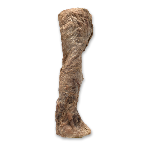 The Bones & Co. Freeze-Dried Beef Esophagus