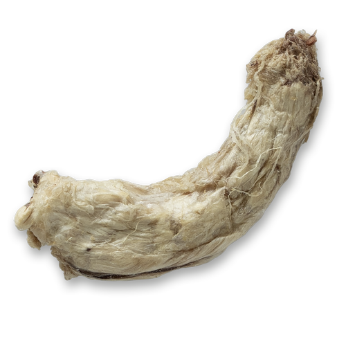 The Bones & Co. Freeze-Dried Chicken Neck