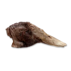The Bones & Co. Freeze-Dried Raw Duck Head