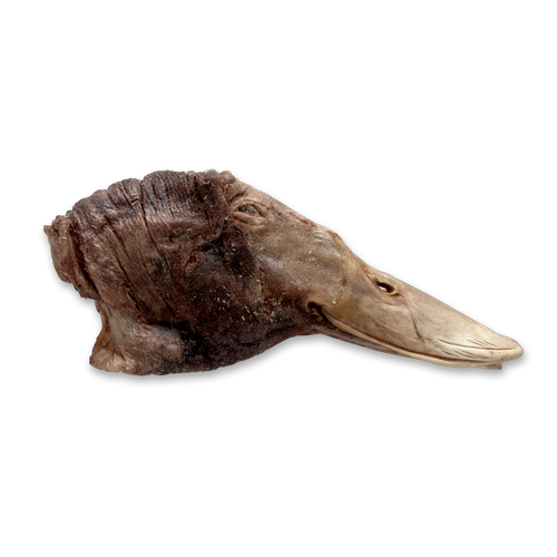The Bones & Co. Freeze-Dried Raw Duck Head