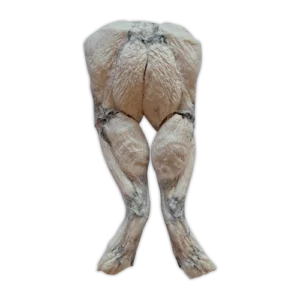 The Bones & Co. Freeze-Dried Frog Legs